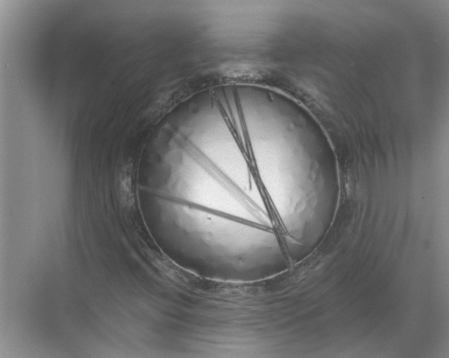 X0000072511396200607290120