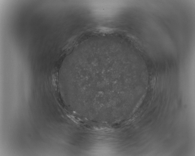 X0000072511397200607290120