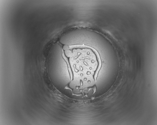 X0000072511399200607290120