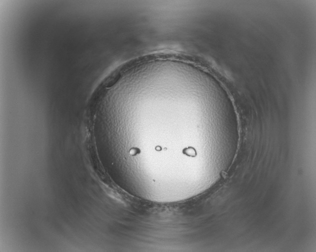 X0000072511400200607290120