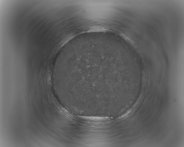 X0000072511401200607290120