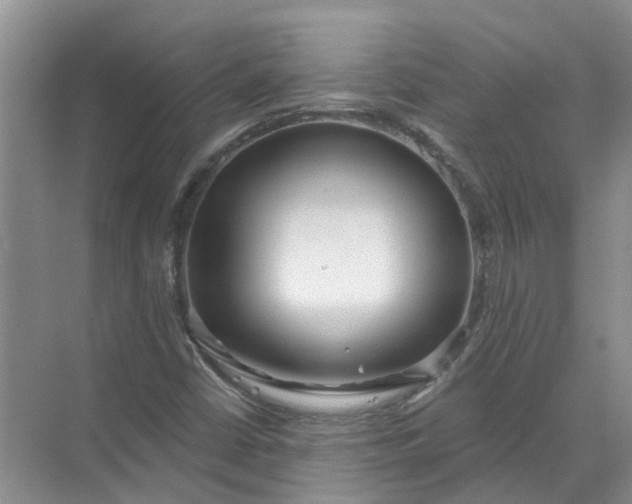 X0000072511402200607290120