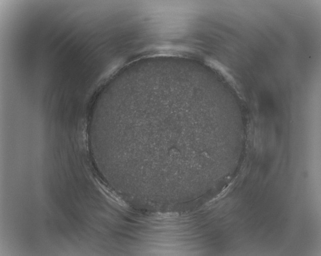 X0000072511403200607290120