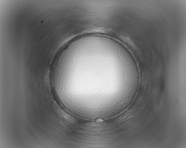 X0000072511404200607290120