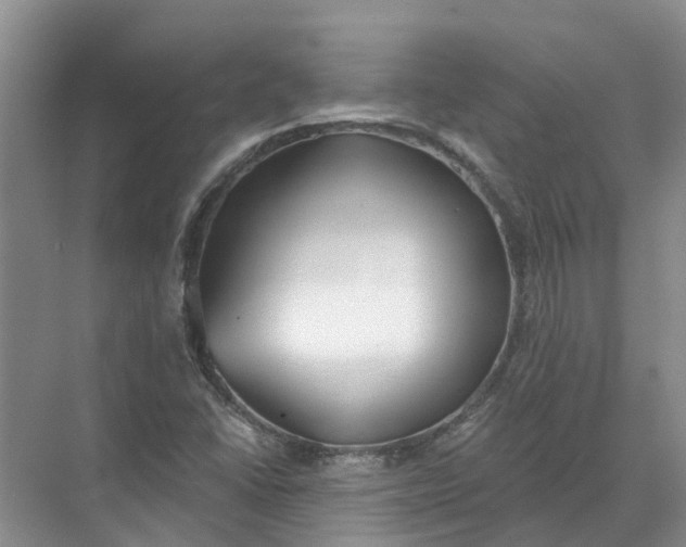 X0000072511406200607290120