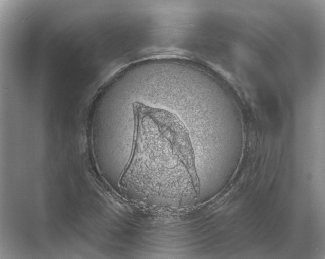 X0000072511407200607290120