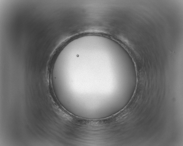 X0000072511408200607290120