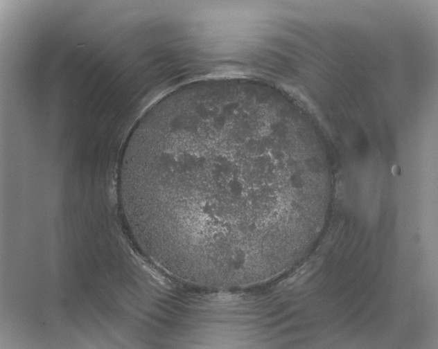 X0000072511409200607290120