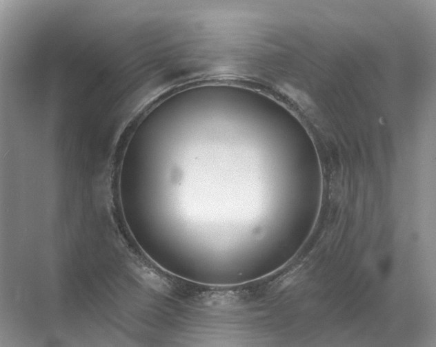 X0000072511410200607290120