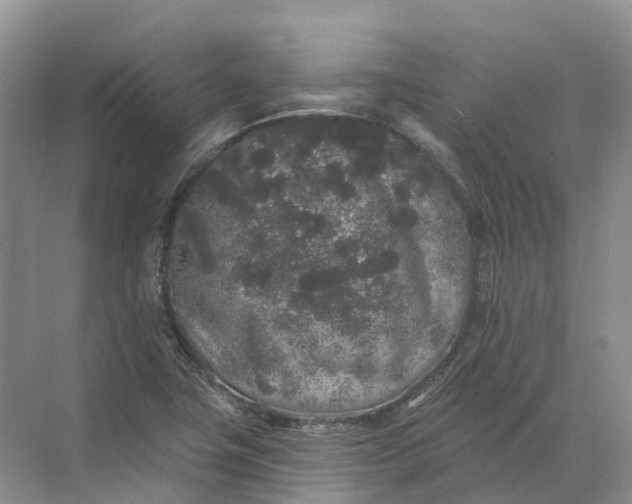 X0000072511411200607290120