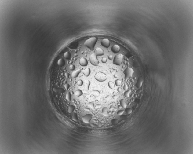 X0000072511413200607290120