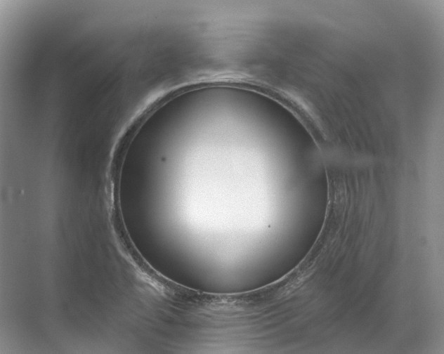 X0000072511414200607290120