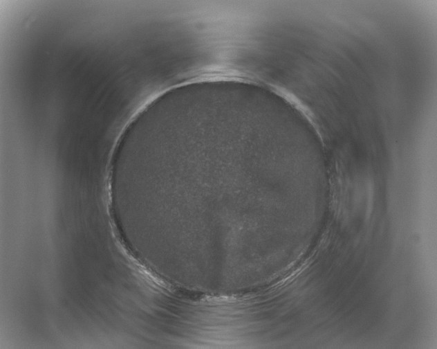 X0000072511415200607290120