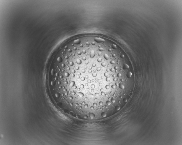 X0000072511416200607290120