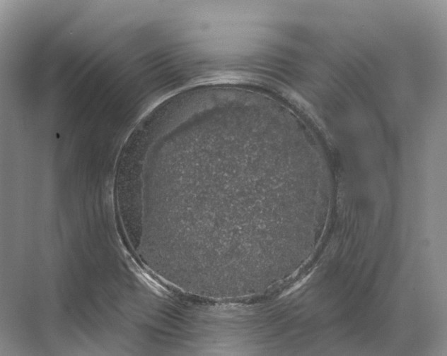 X0000072511417200607290120