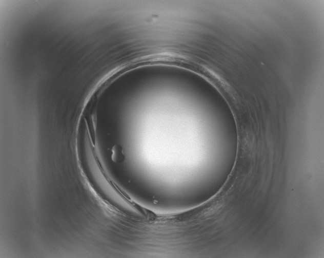 X0000072511418200607290120