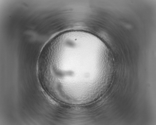 X0000072511420200607290120