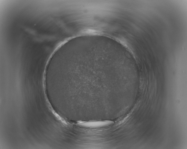 X0000072511421200607290120