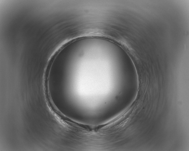 X0000072511422200607290120