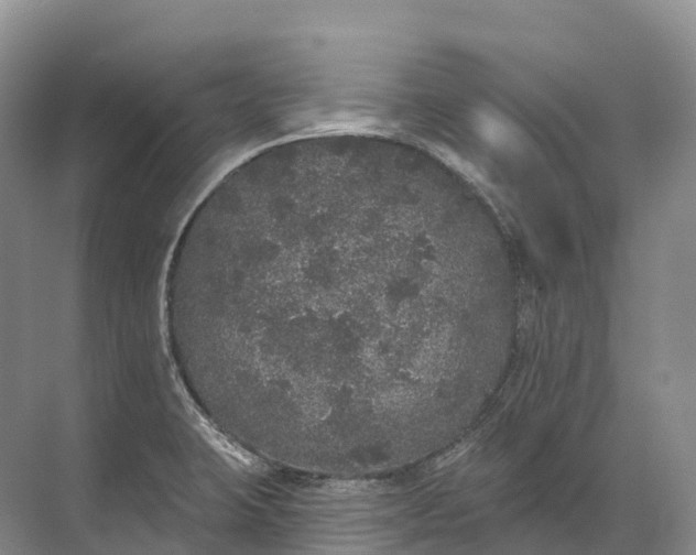 X0000072511423200607290120