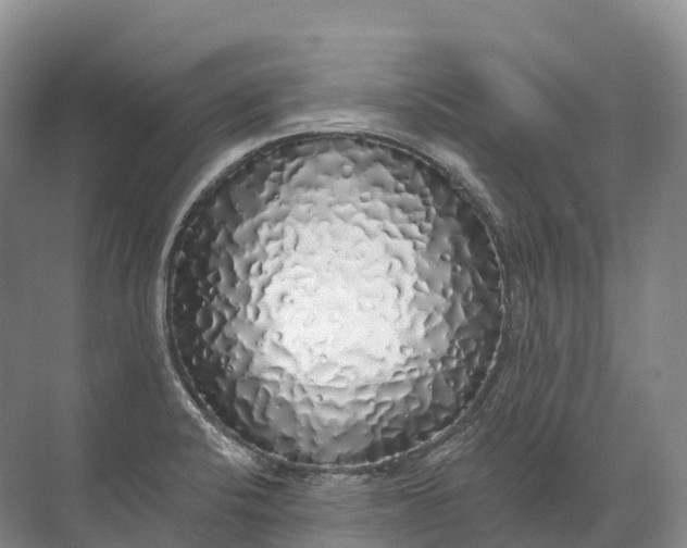 X0000072511424200607290120