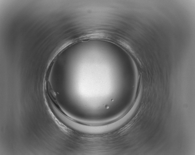 X0000072511426200607290121