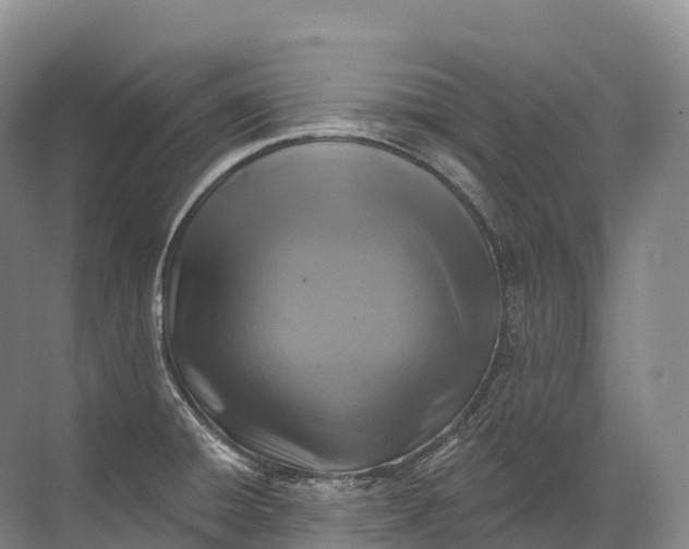 X0000072511428200607290121