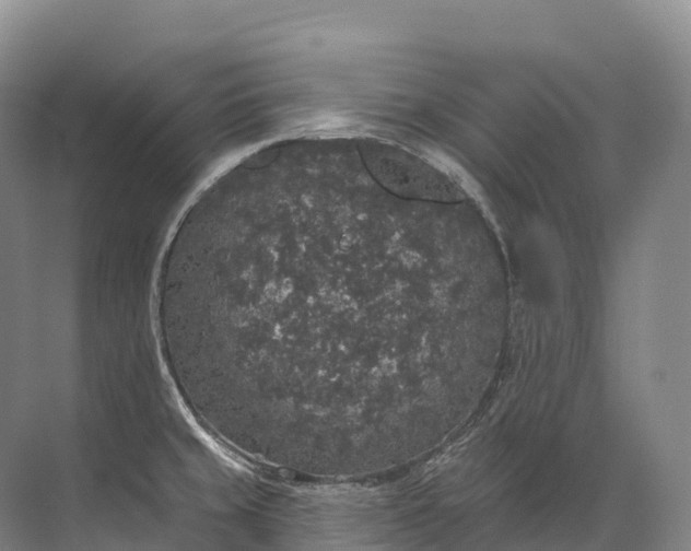 X0000072511429200607290121