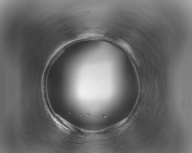 X0000072511430200607290121