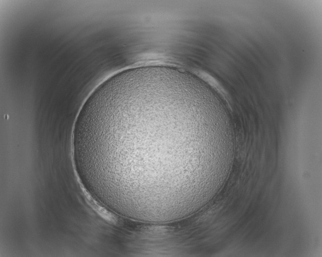 X0000072511431200607290121