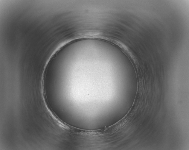 X0000072511432200607290121