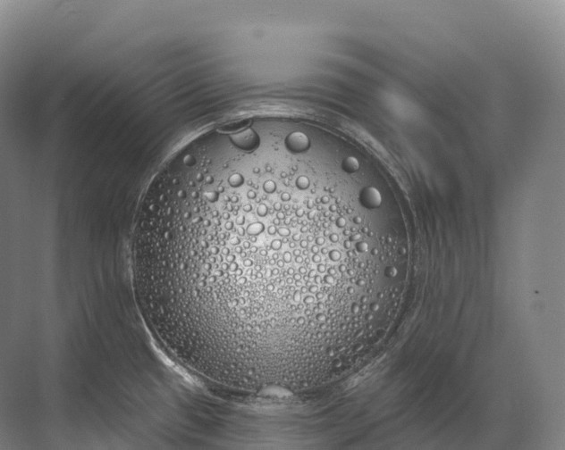 X0000072511433200607290121