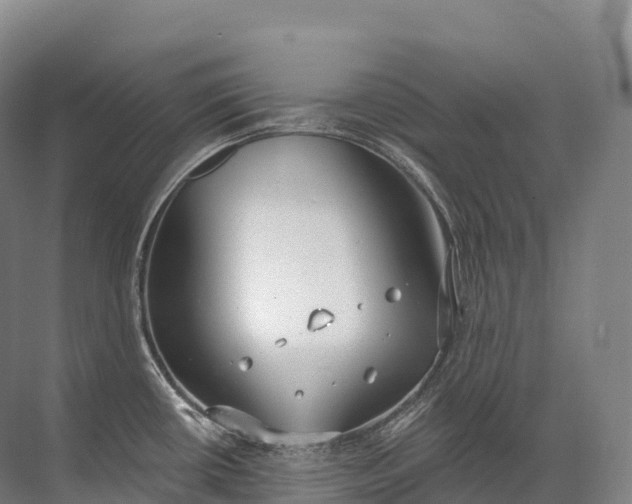 X0000072511434200607290121