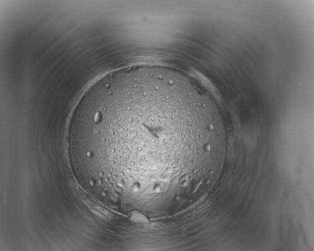 X0000072511435200607290121