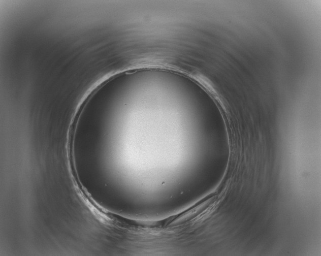 X0000072511438200607290121