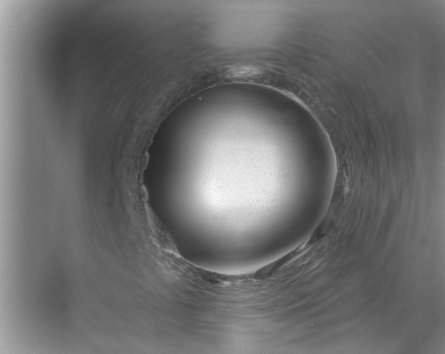 X0000072511441200607290120