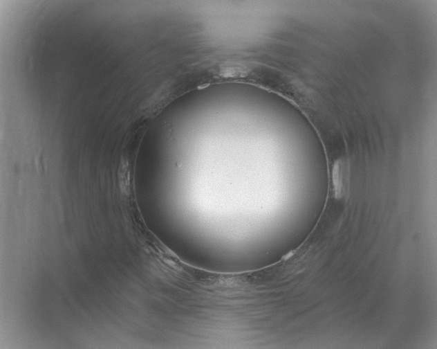 X0000072511443200607290120