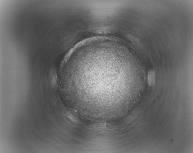 X0000072511444200607290120