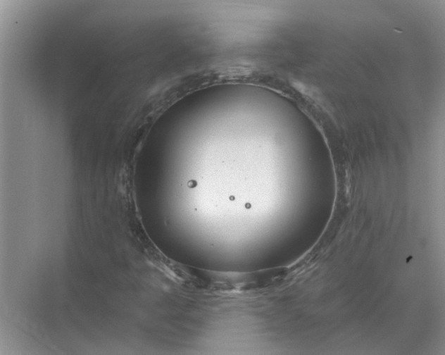 X0000072511445200607290120