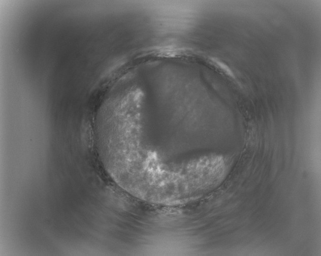 X0000072511446200607290120