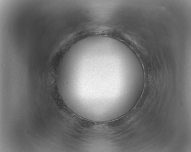 X0000072511447200607290120