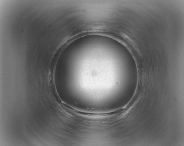 X0000072511449200607290120