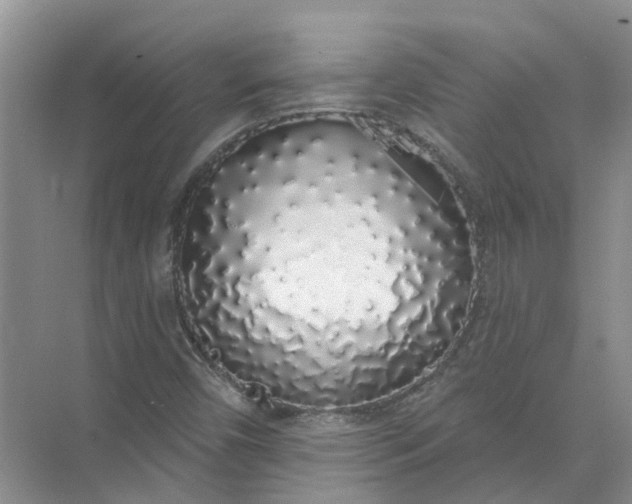 X0000072511450200607290120