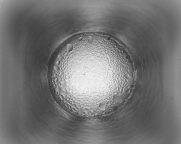 X0000072511452200607290120