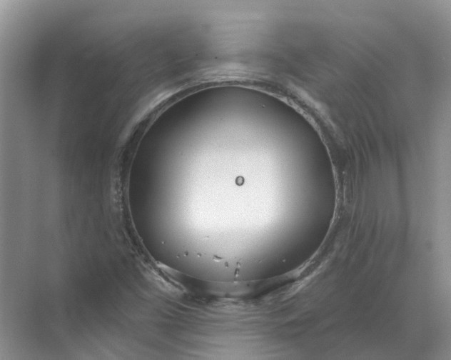 X0000072511453200607290120