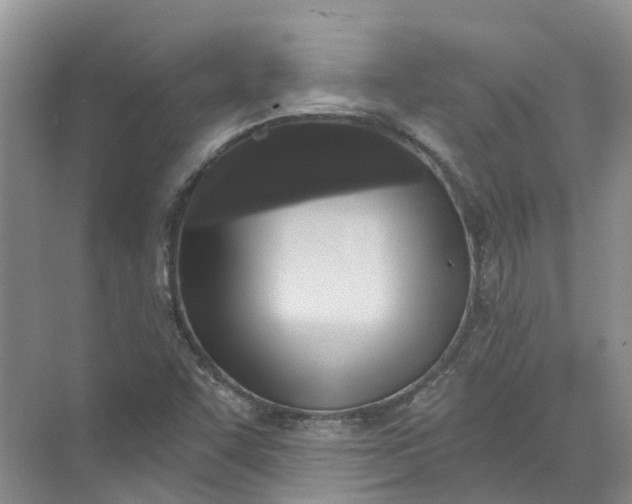 X0000072511455200607290120