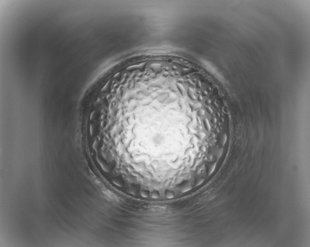 X0000072511456200607290120