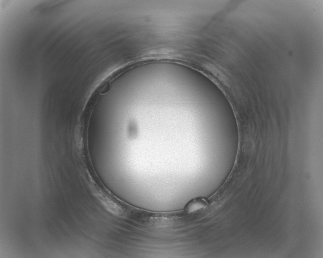 X0000072511458200607290120