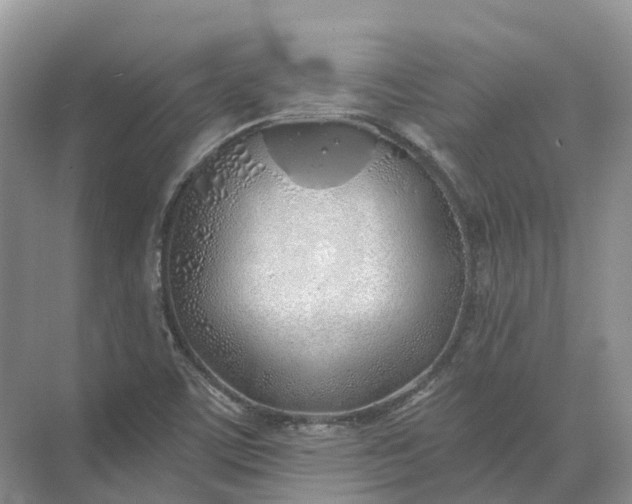 X0000072511459200607290120