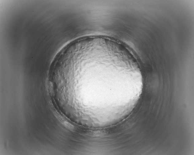 X0000072511460200607290120